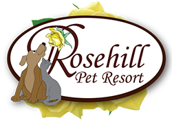 Rosehill Pet Resort